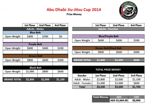 abudabi1