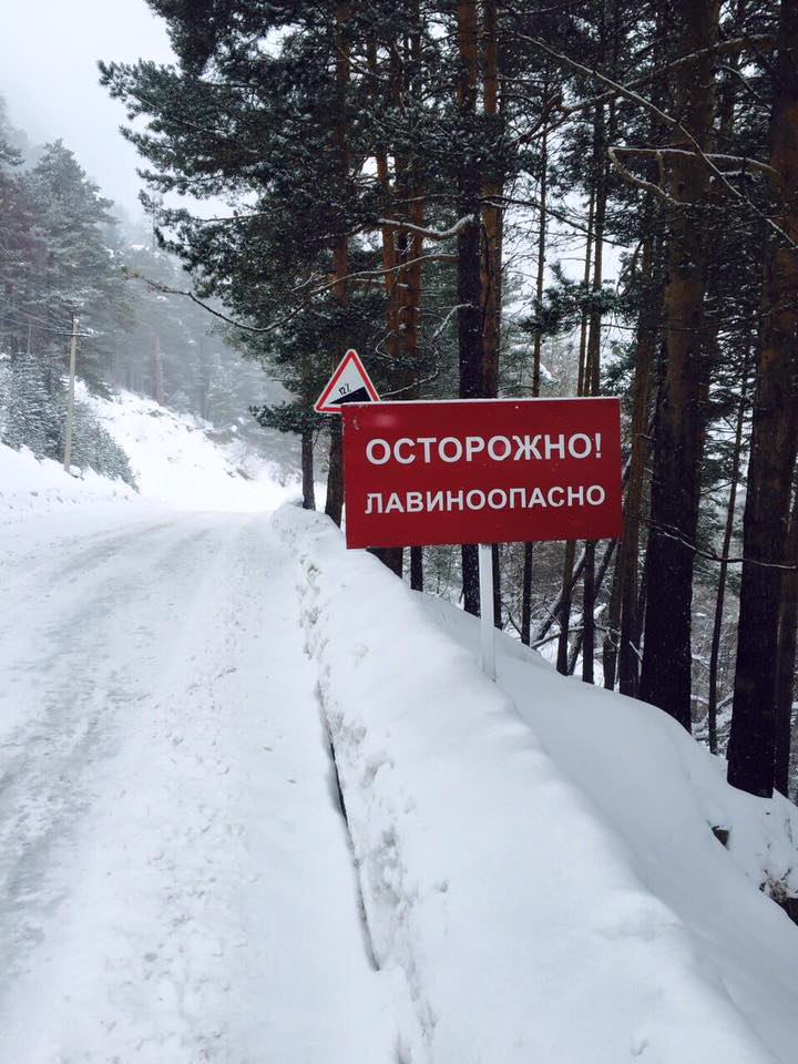 GR_sbor_Terskol_06
