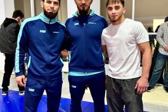 arhiev_11